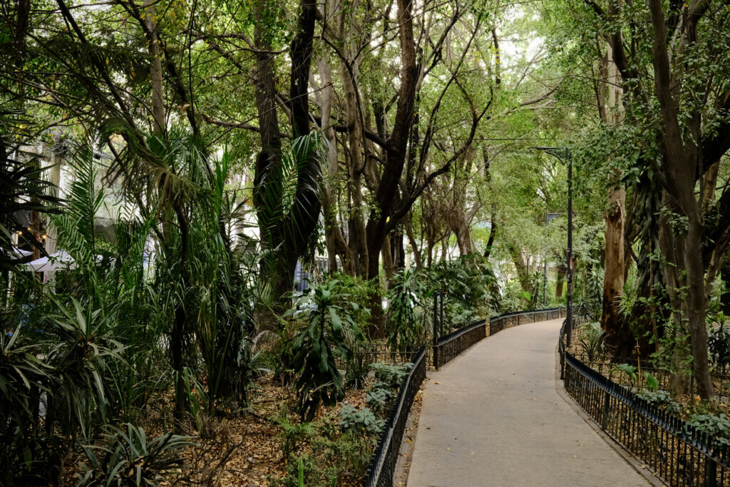 Condesa